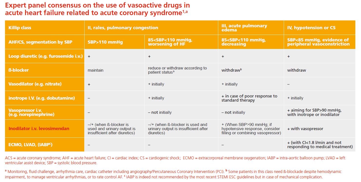 Expert panel consensus on the use of vasoactive drugs in acute heart failure related to acute coronary syndrome1,a Expert panel consensus on the use of vasoactive drugs in acute heart failure related to acute coronary syndrome1,a